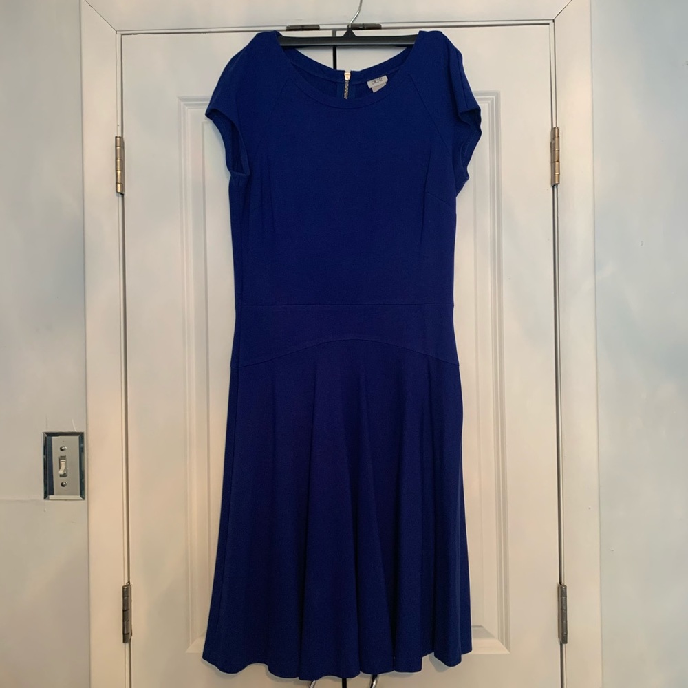 Cache drop waist royal blue dress